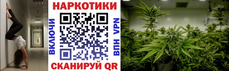  COCAIN Коряжма