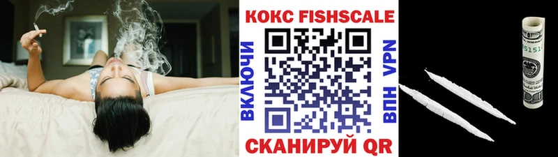 Купить закладки  Коряжма  COCAIN FishScale 