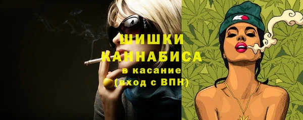 молекула духа Дмитриев