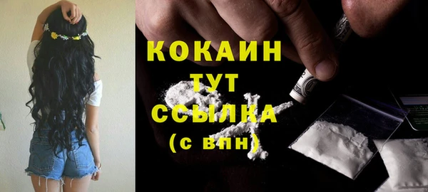 ПСИЛОЦИБИНОВЫЕ ГРИБЫ Дмитров