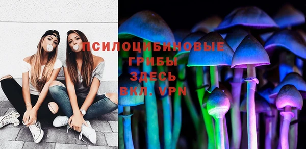 ПСИЛОЦИБИНОВЫЕ ГРИБЫ Дмитров