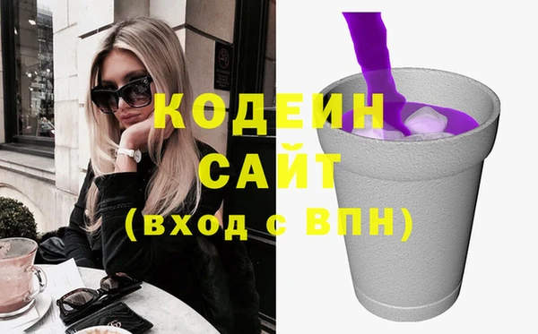 молекула духа Елабуга