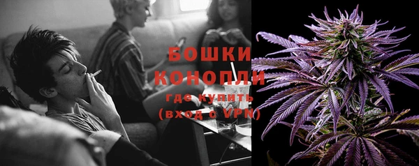 молекула духа Дмитриев