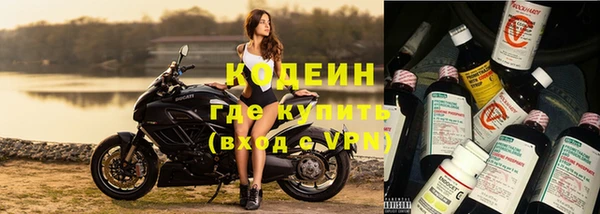 молекула духа Дмитриев