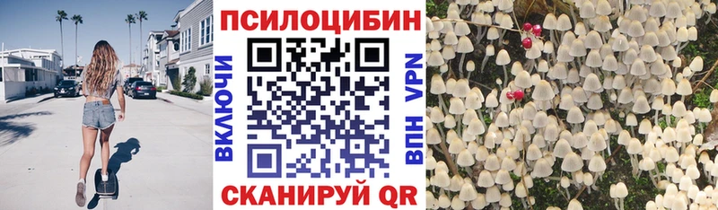 Галлюциногенные грибы Psilocybe  Купить закладки  Коряжма 